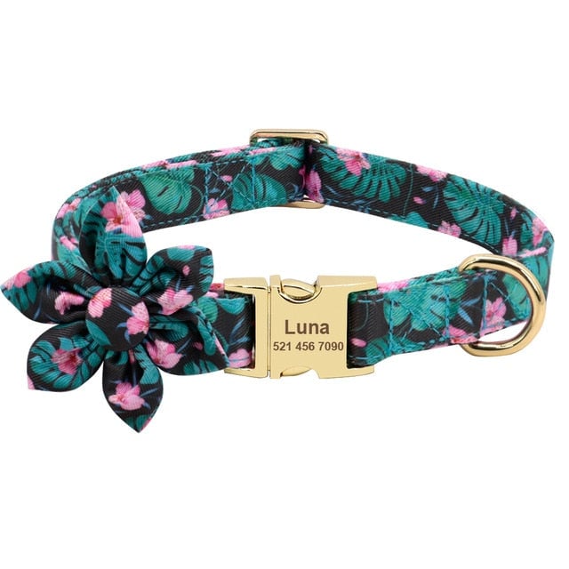 Personalized Engraved Dog Collar With Leash