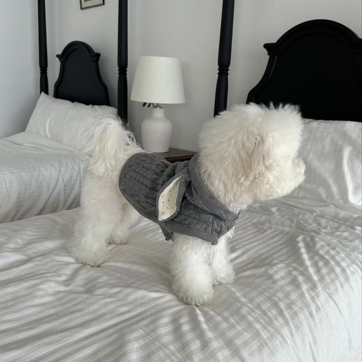 Warm Knitted Rabbit Ear Shaped Dog Cat Sweater