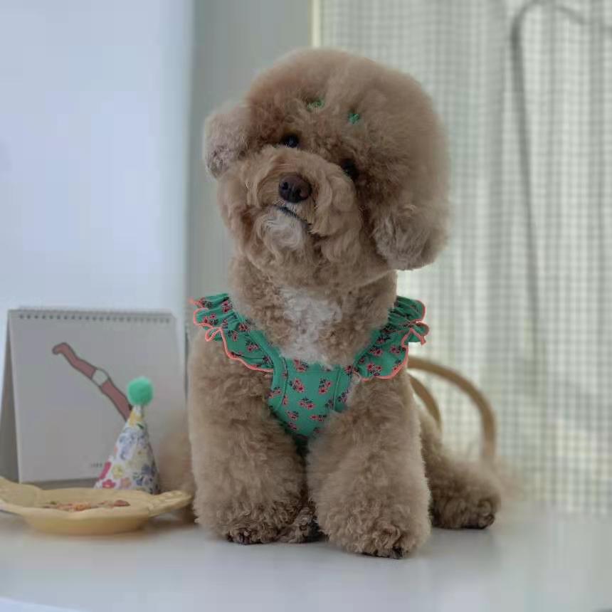 Floral Pattern Strap Dog Cat Vest