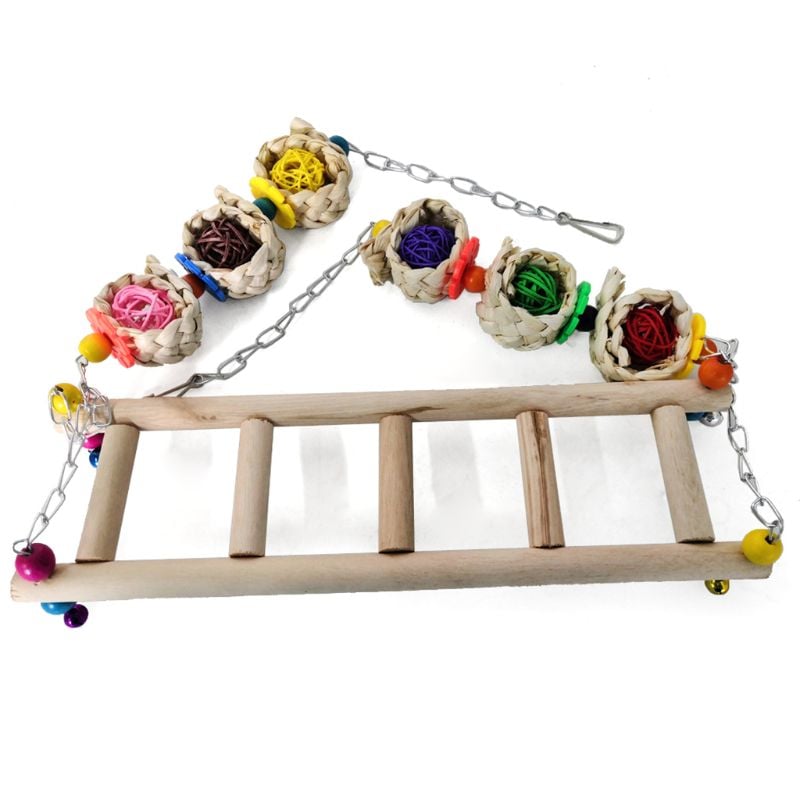 Parrot Swing Perch Ladder
