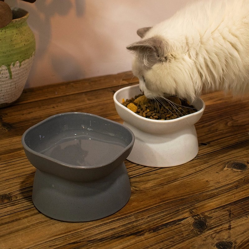 Double-sided Pet Feeding Bowl Oblique Mouth Protection Cervical Spine Dog Feeder Prevent Knocking Over High-legged Cat Feeding Basin