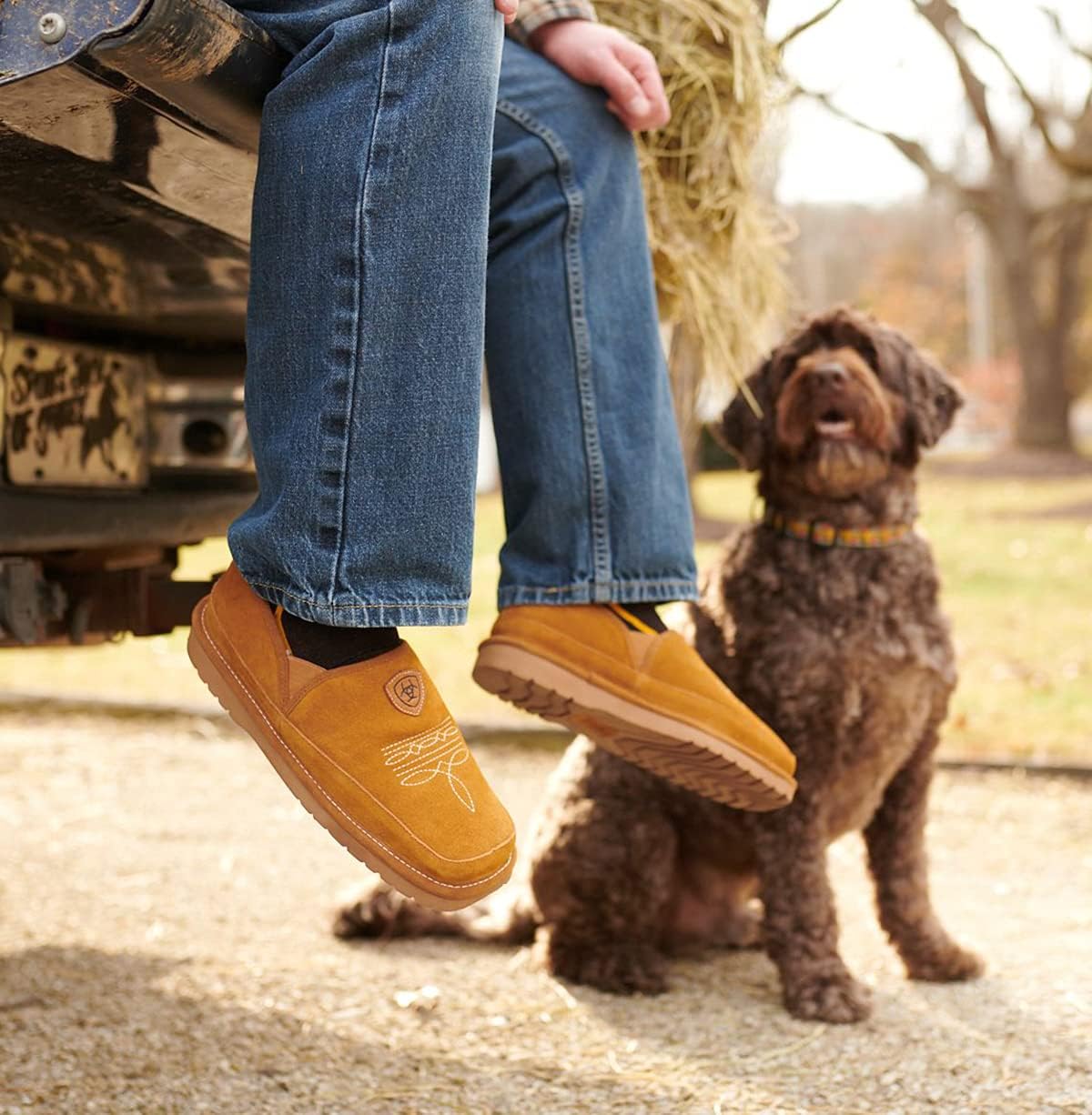 ARIAT Lasso Suede Chestnut