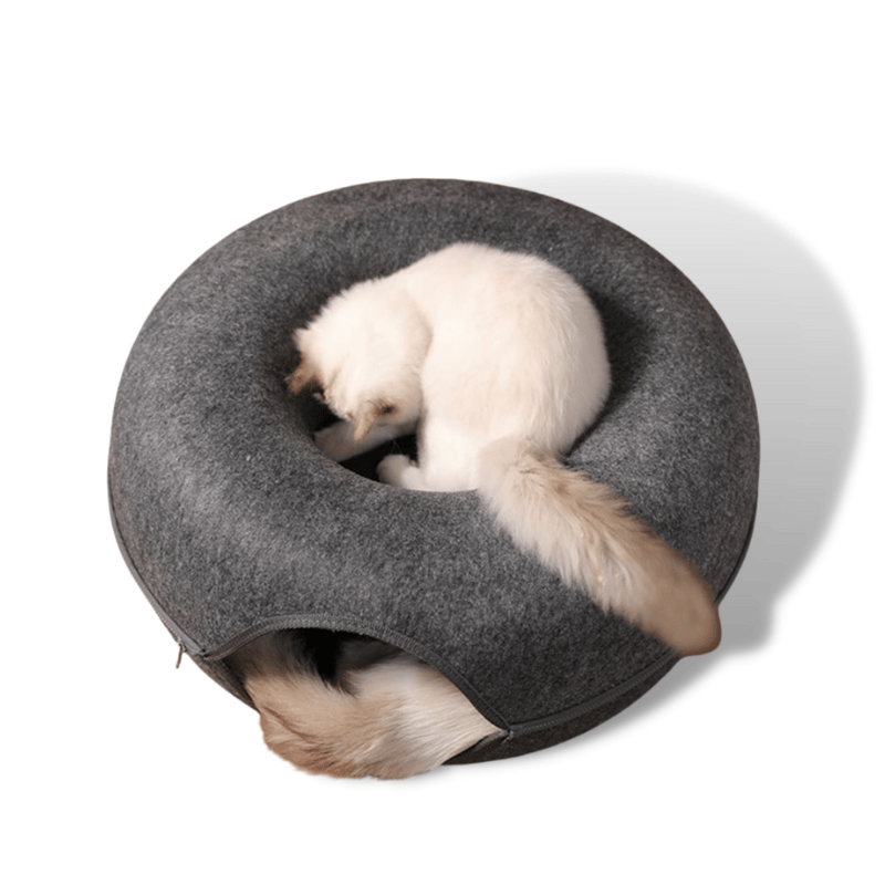 🔥HOT SALE 🔥 Tunnel Interactive Cat Bed