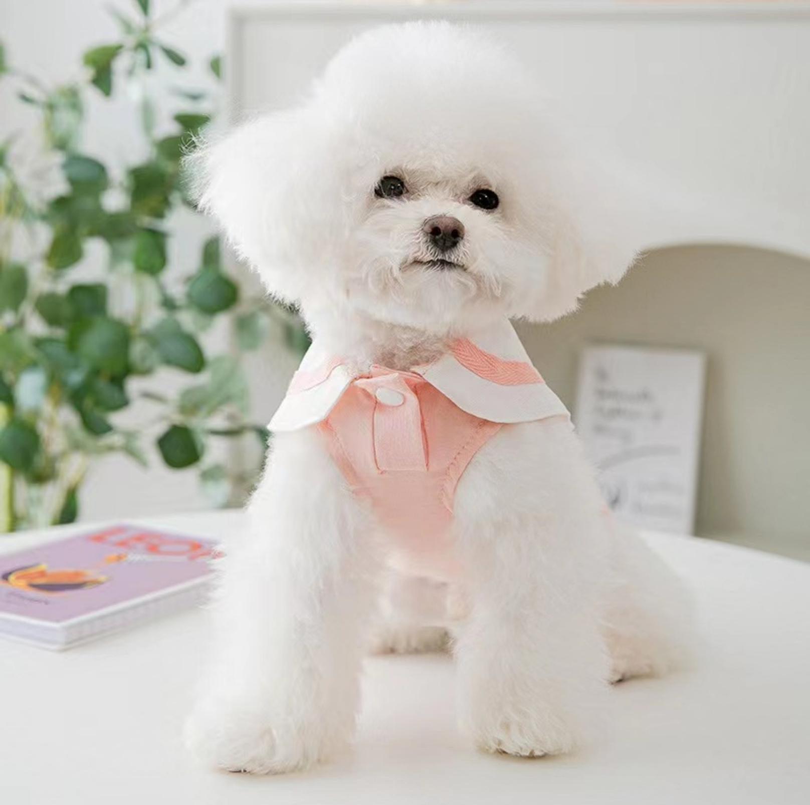 Summer Pet Vest with Naval Collar & Kitty Print