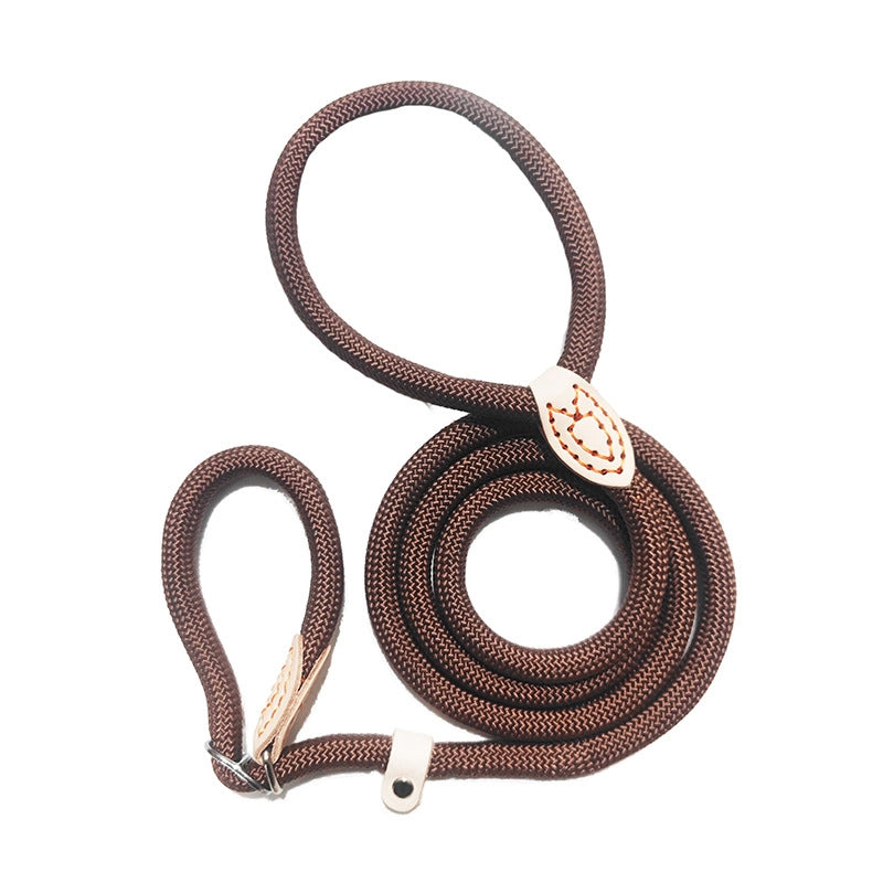 Minimalist Classic Style Nylon Solid Color Leash