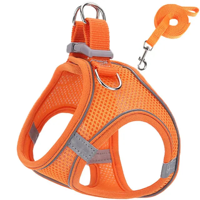Peitoral de passeio para gatos e cachorros