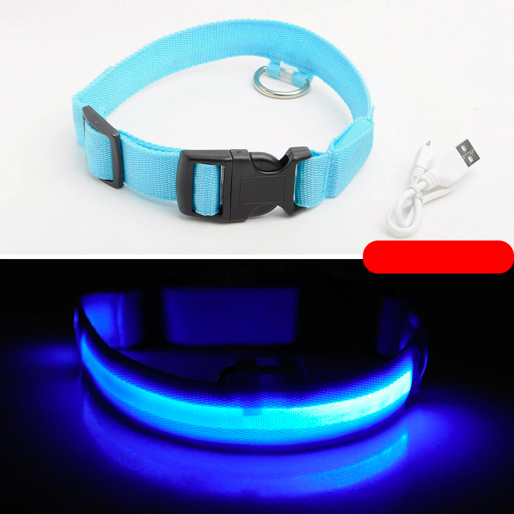 LED Dog Collar - USB Rechargeable - Glow In Dark