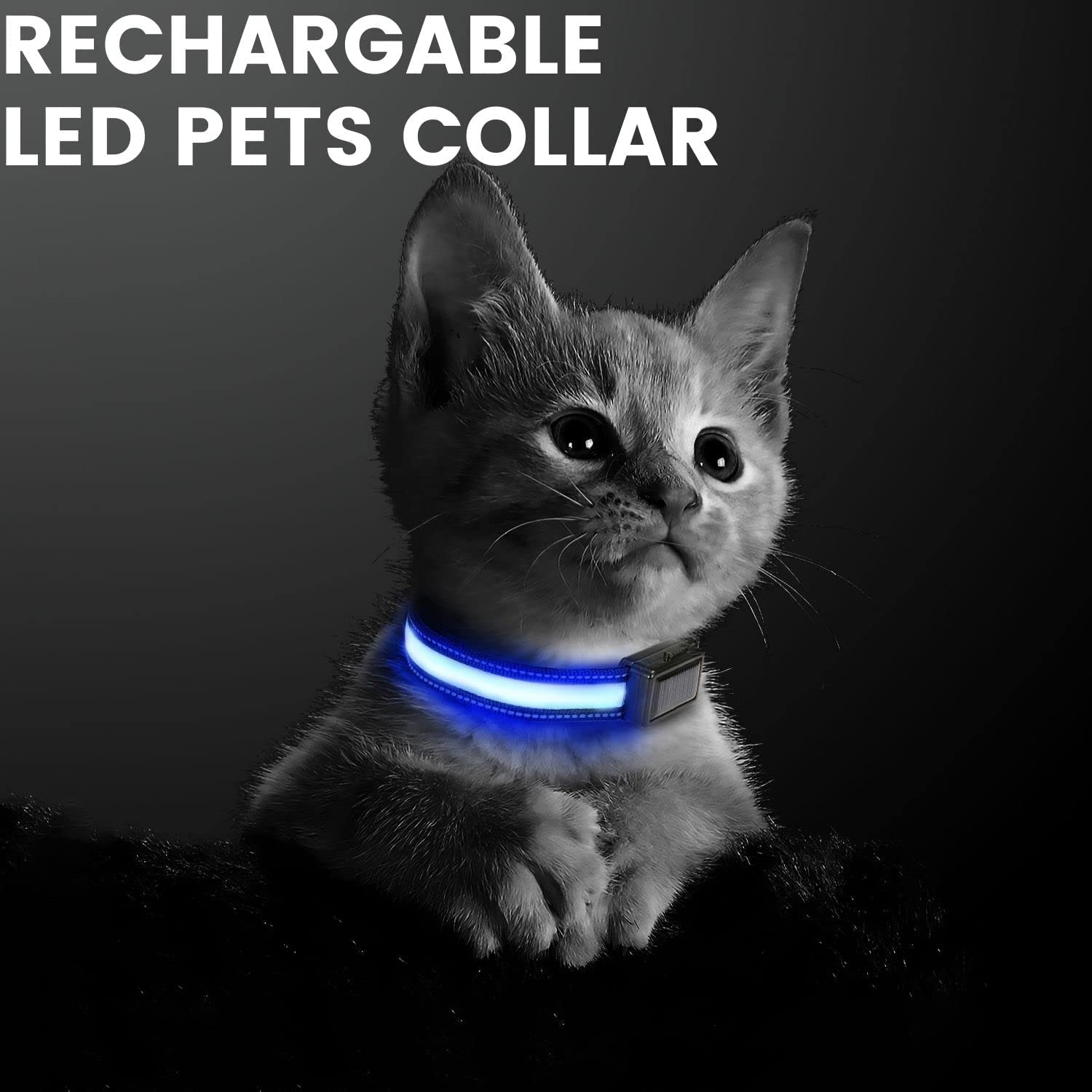 Solar USB Rechargable LED Dog Collar (L Blue)