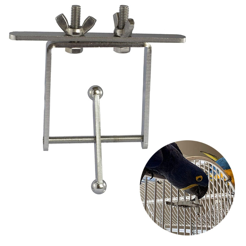 Bird Parrot Stand