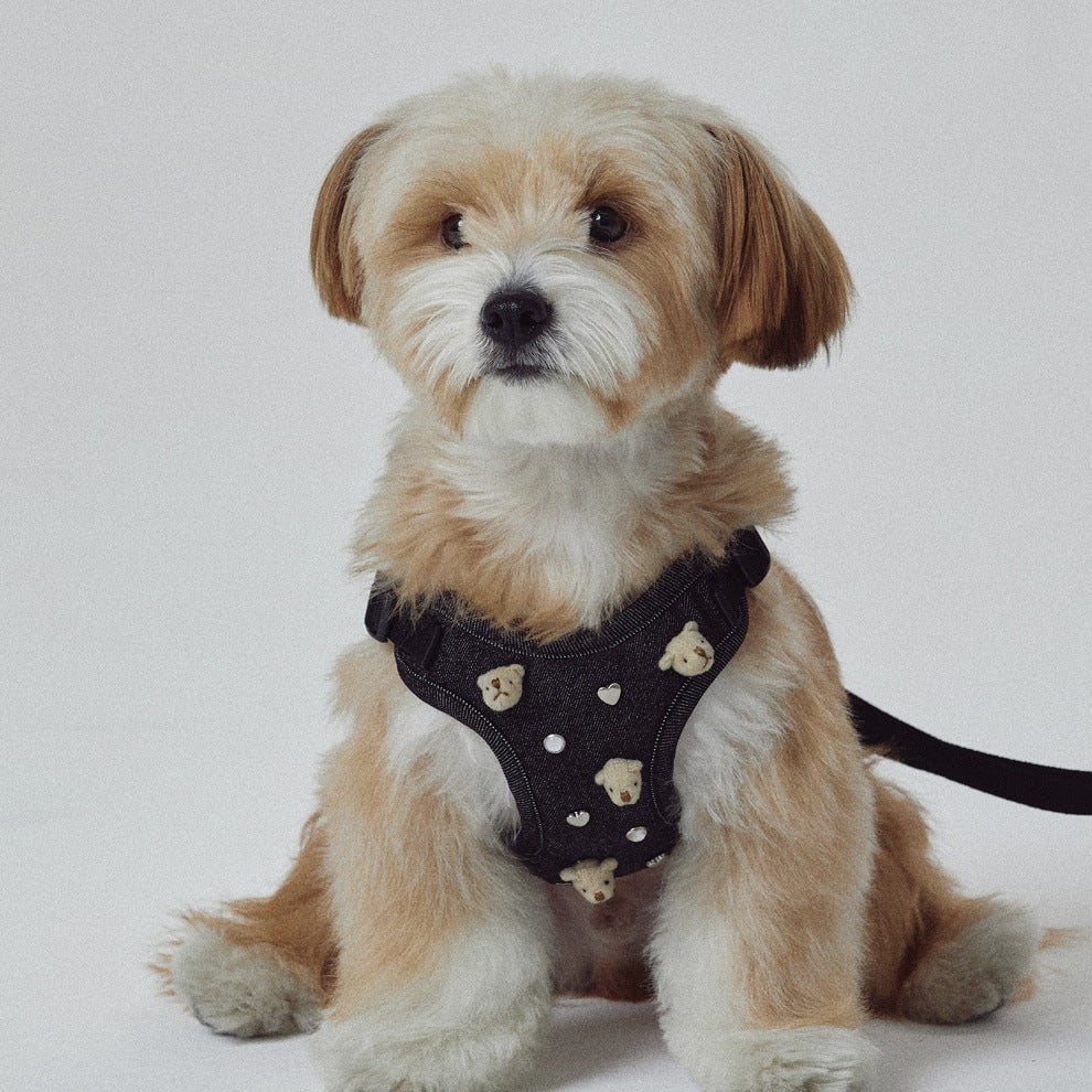 Bear Decor Denim Dog Harness/Collar/Bag
