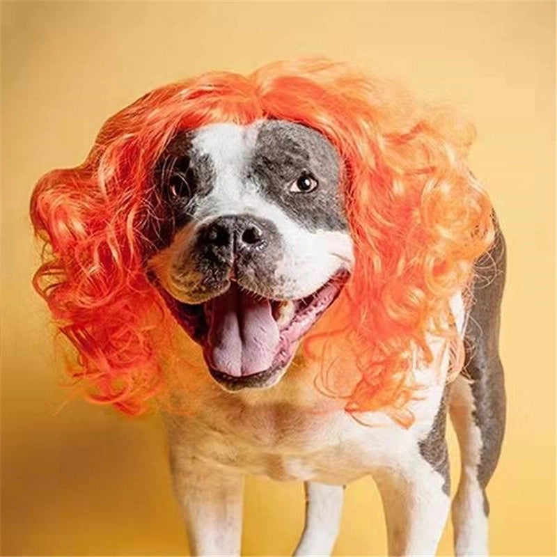 Minimalist Polyester Solid Color Pet Wig