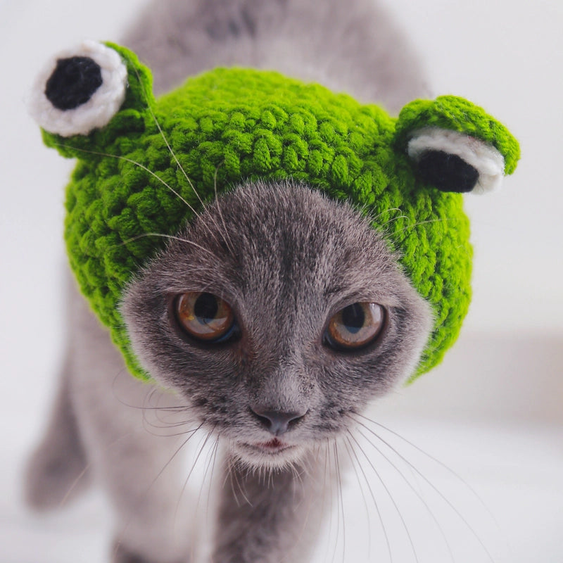 Cute Acrylic Frog Patchwork Pet Hat