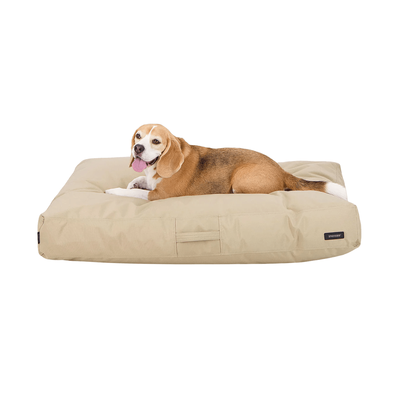 Modern D1000 Outdoor Dog Bed - Biscuit