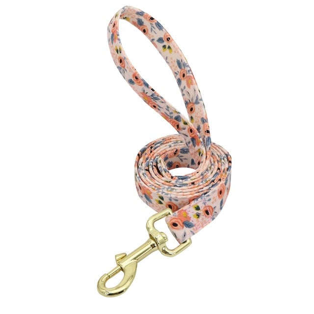 Personalized Engraved Dog Collar With Leash