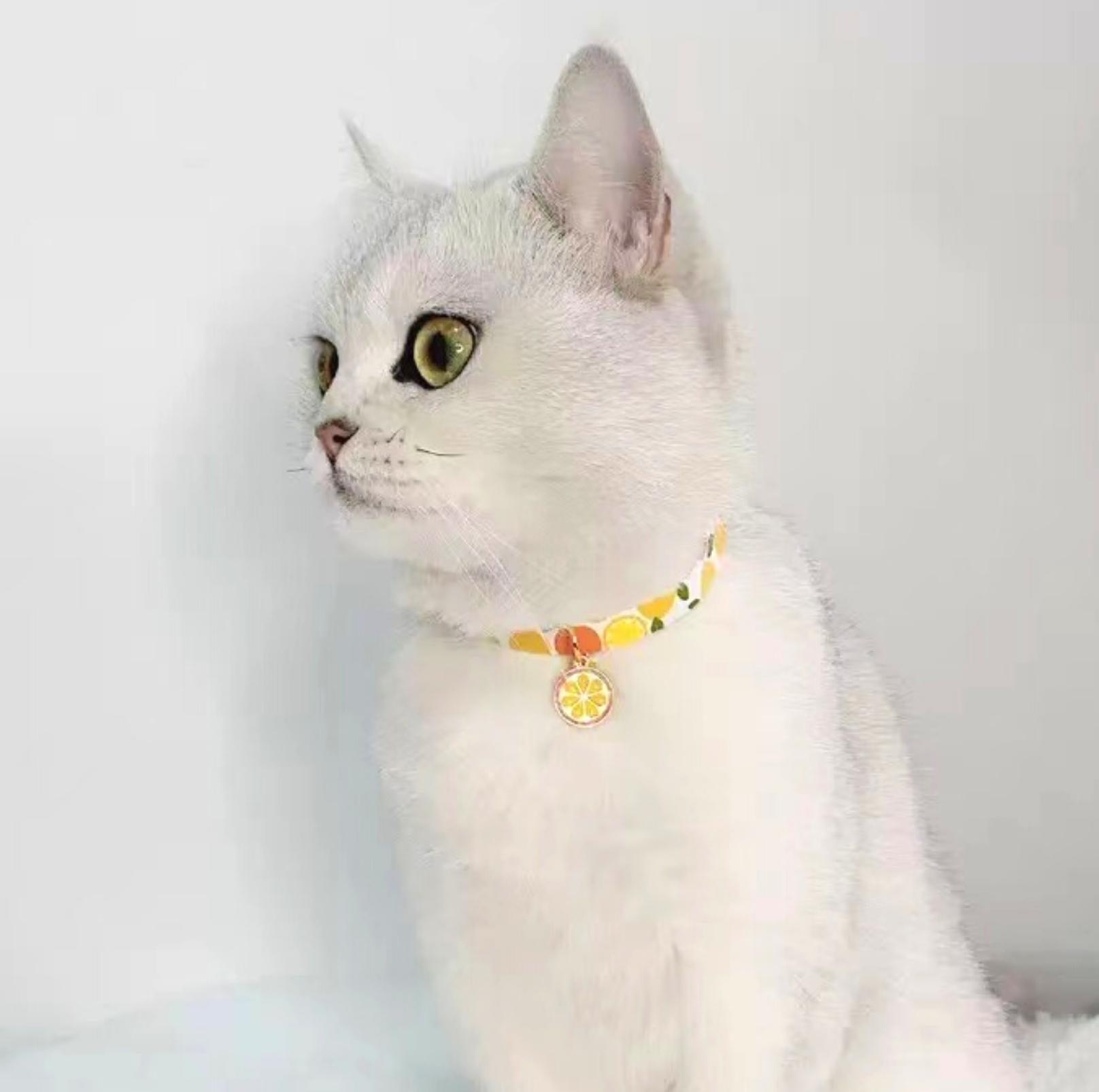 Fruit Series Pendant Style Adjustable Pet Collar