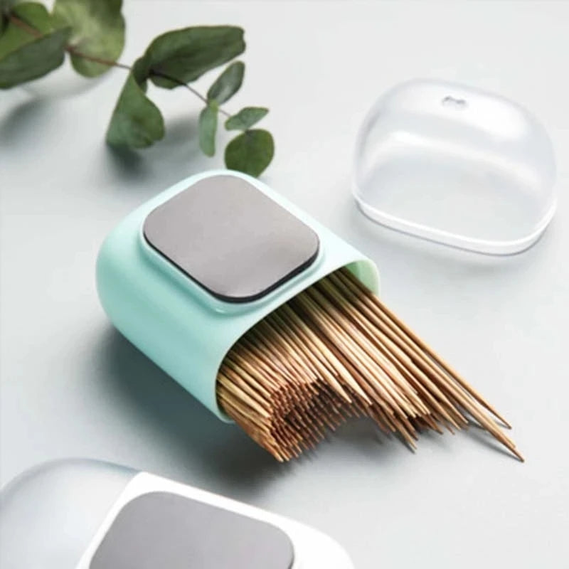 MAGNETIC TOOTHPICK HOLDER