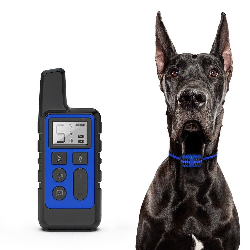 Electric Dog Training Collar