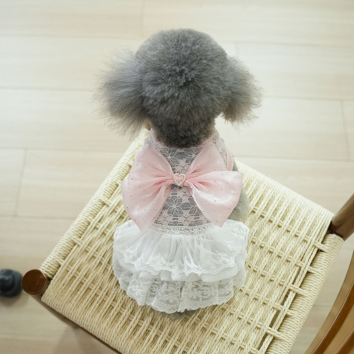 Sweet Lace Design Bow Dog Cat Dress