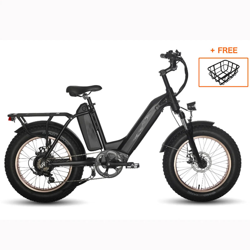 🔥 Agle Long Range 100 Miles Electric Bicycle