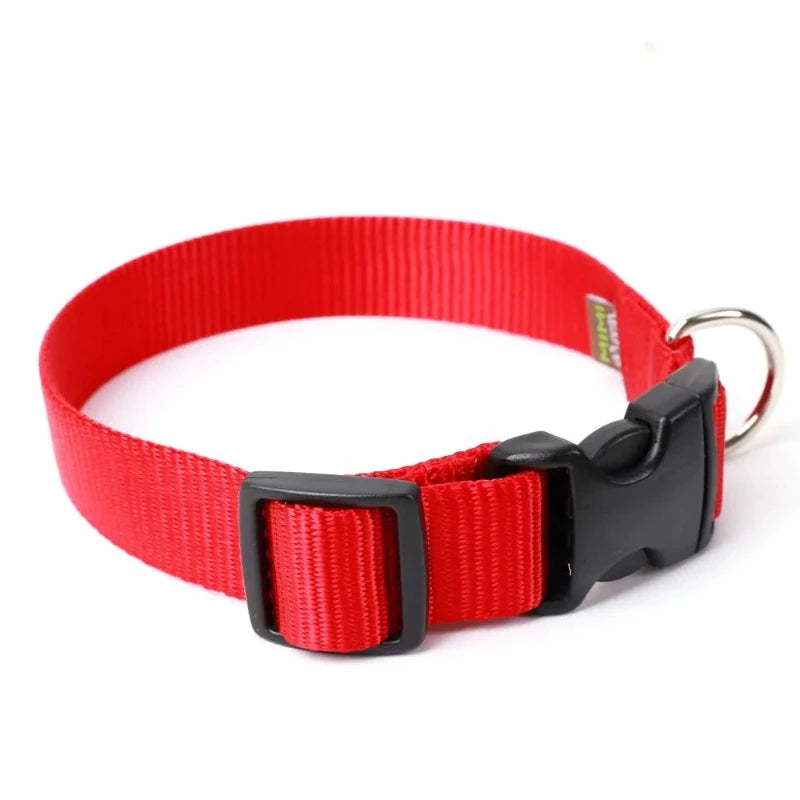 Large Dog Collar