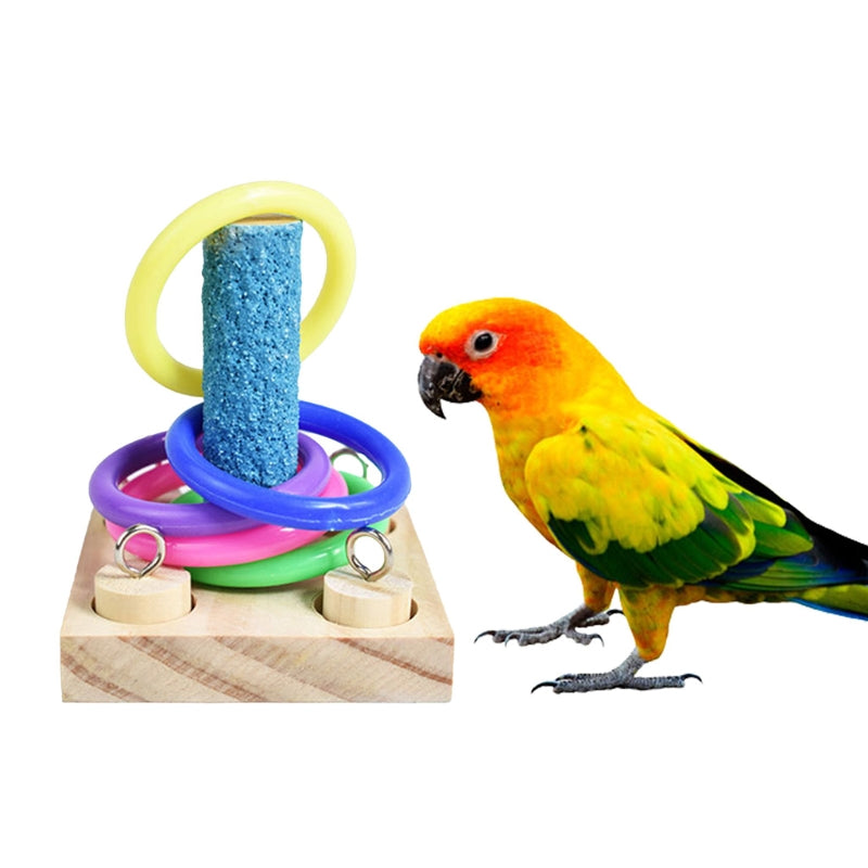 Training Chewing Bird Toys Set