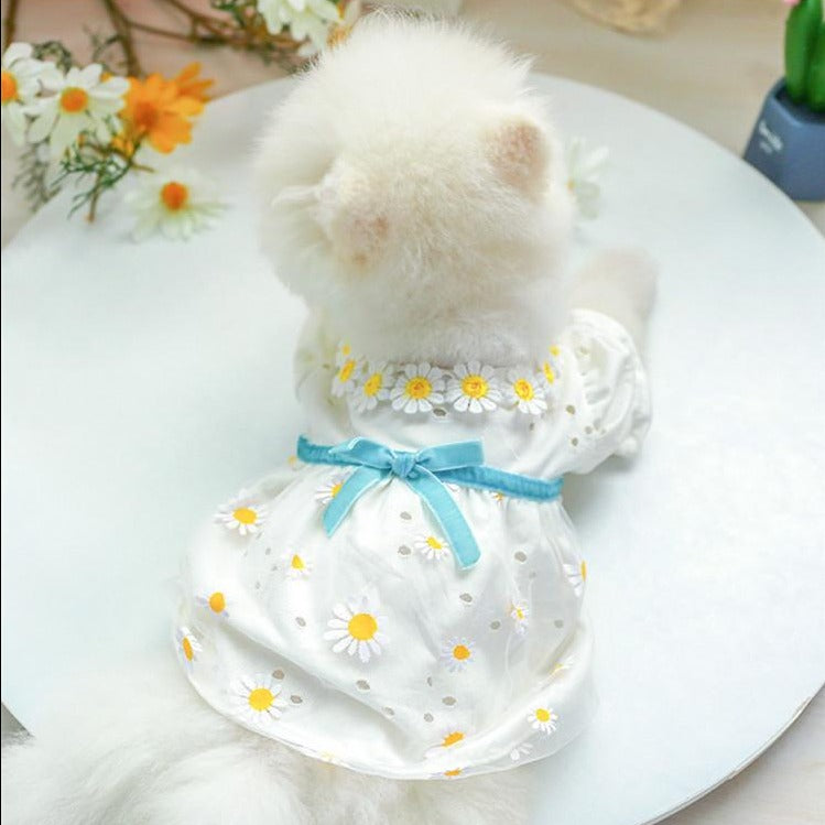 Bowknot Lace Dresses For Dog Cat