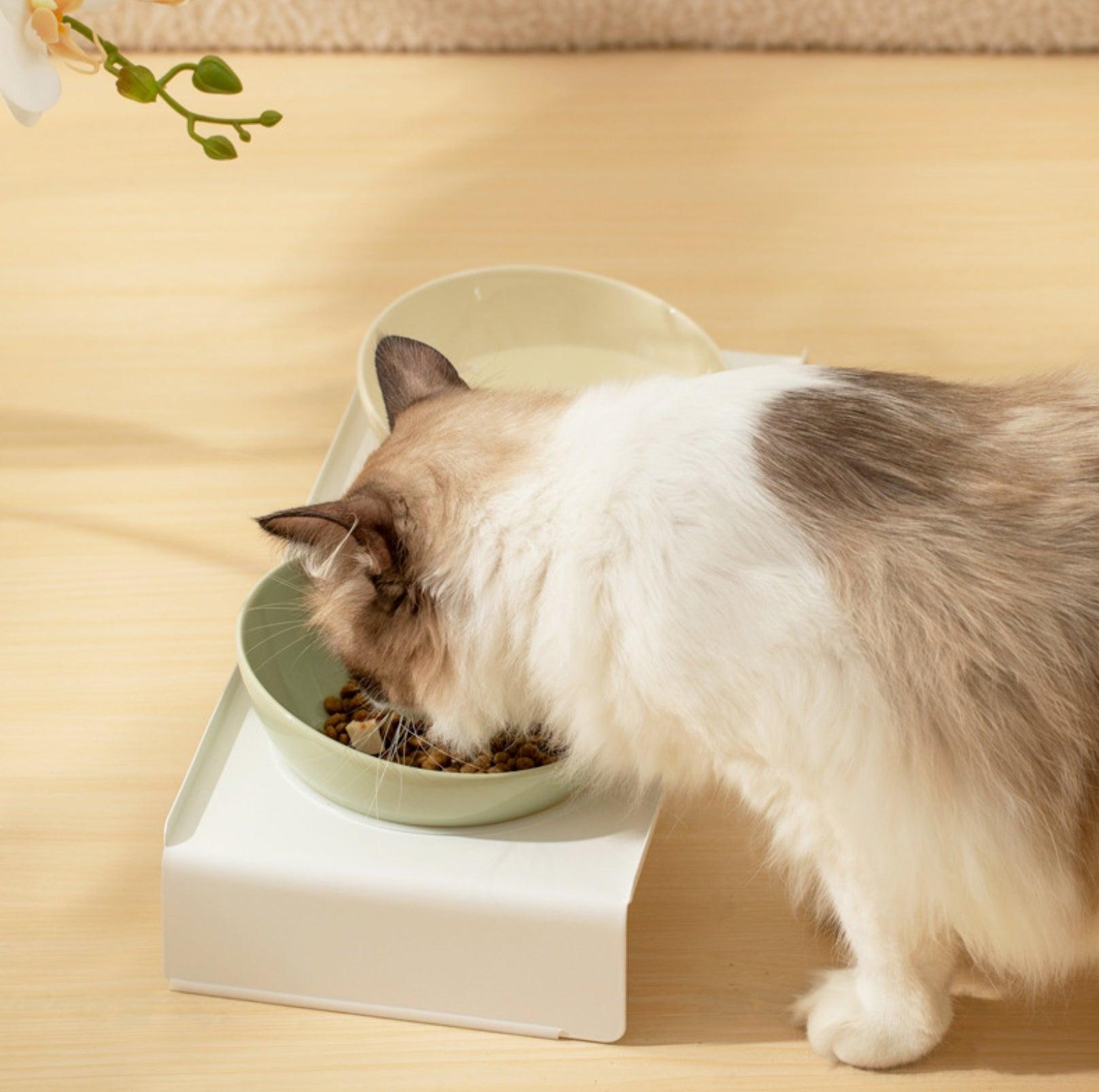 Adjustable Ceramic Pet Bowl with Arch Iron Stand