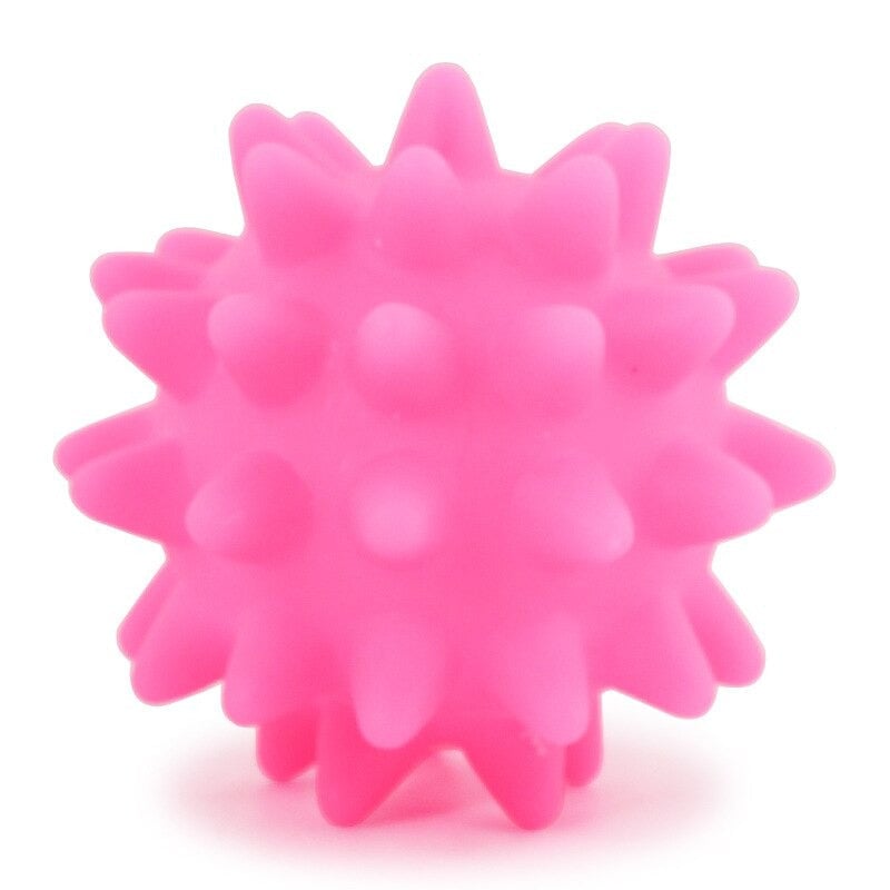 Dog Squeak Toys