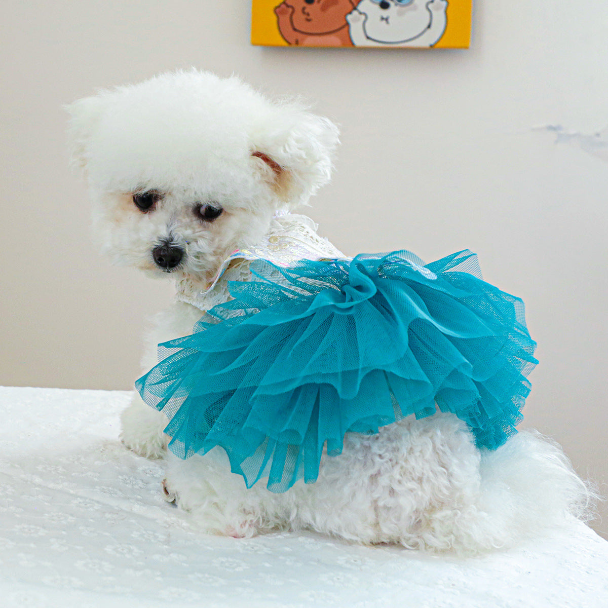 Colorful Butterfly Layered Dog Cat Lace Dress