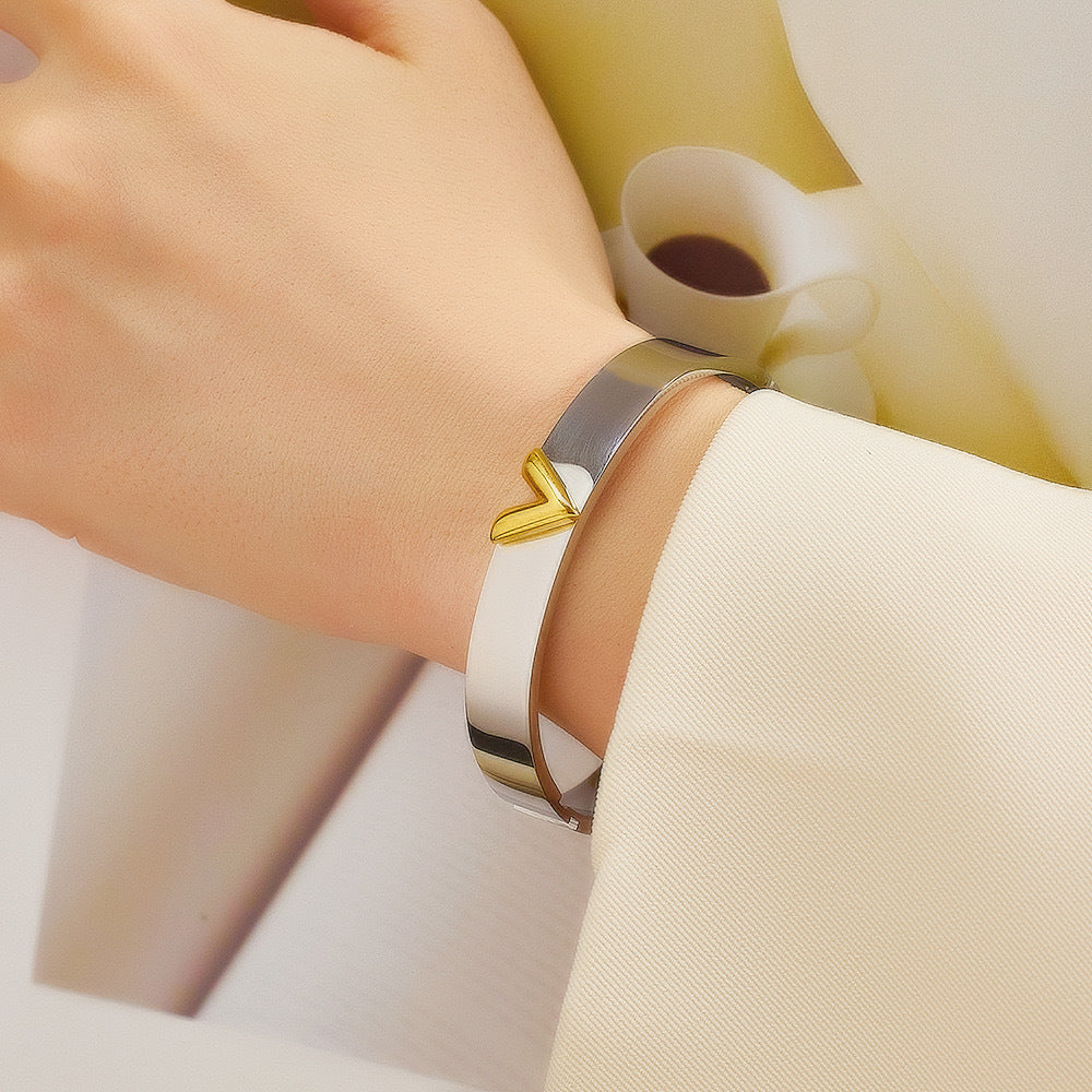 Ellipse Titanium Steel Electroplating Bangles