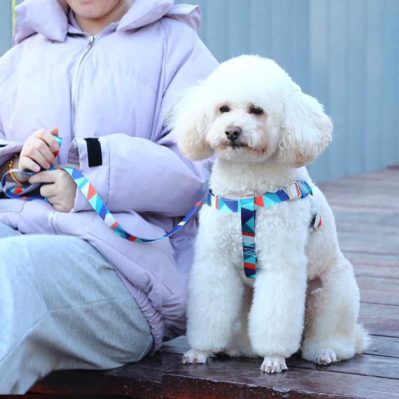 Durable Vest And Leash