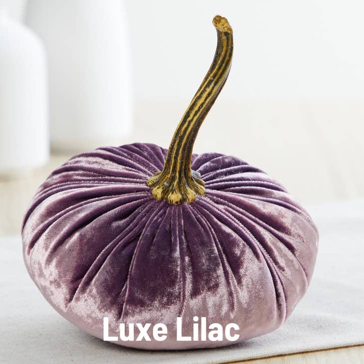 Velvet Pumpkin. Luxe Lilac