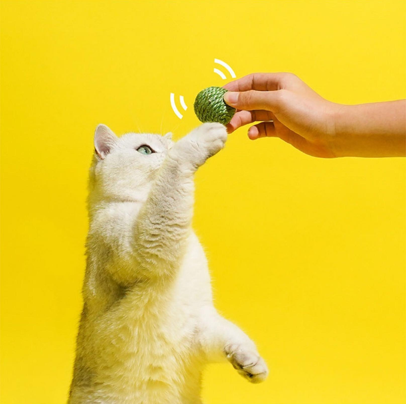 Green Bean With Sisal Ball Cat Toys