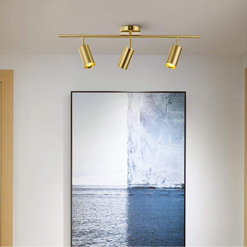 Asva 3 Heads | Track Light