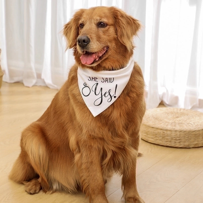 Pet Print Letter Pattern Portable Fashion Triangle Scarf
