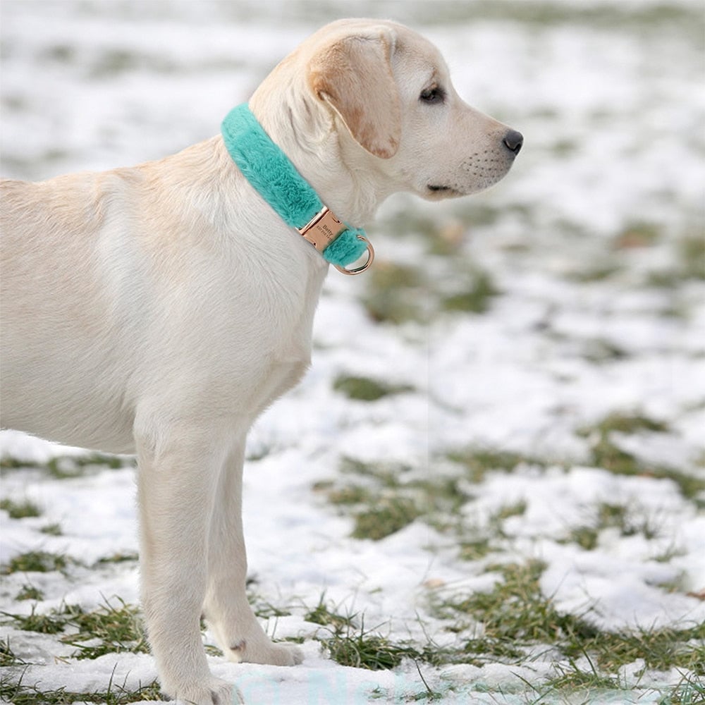 Soft Furry Personalized Dog Cat Collar