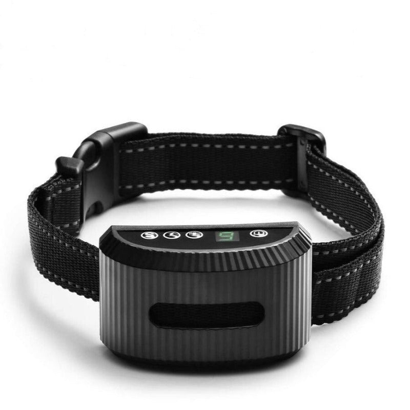 Electric Dog Training Collar
