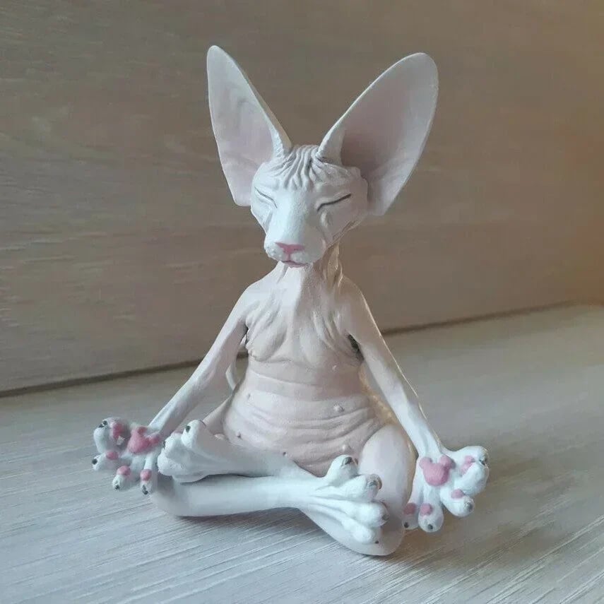 🔥Last Day Promotion🔥😻Sphynx Cat Meditate Yoga(BUY 2 FREE SHIPPING)