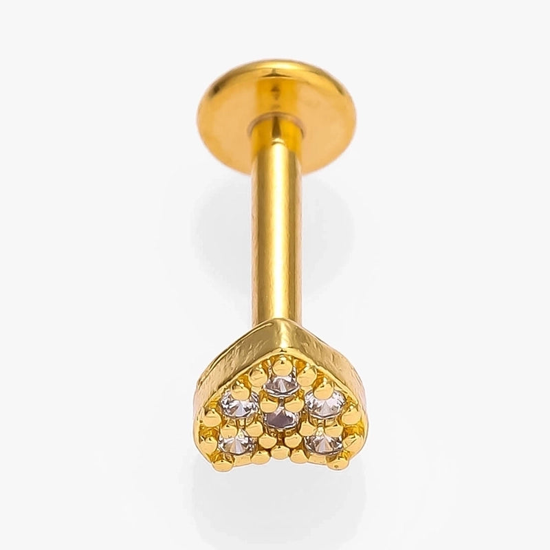 1 Piece Lip Rings Minimalist Commute Leaves Heart Shape Flower 316L Stainless Steel  Inlay Zircon 18K Gold Plated Ear Cartilage Rings & Studs