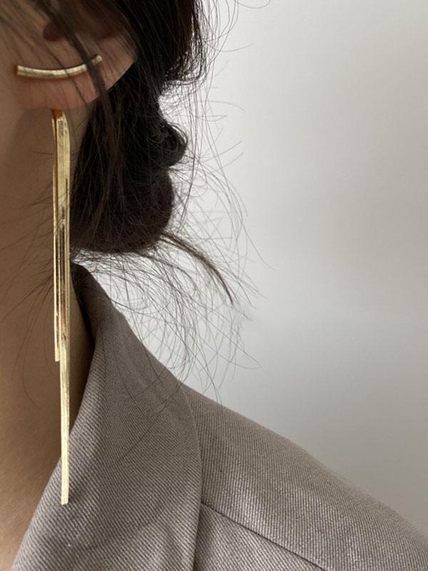 Solid Tasseled Shiny Eardrop