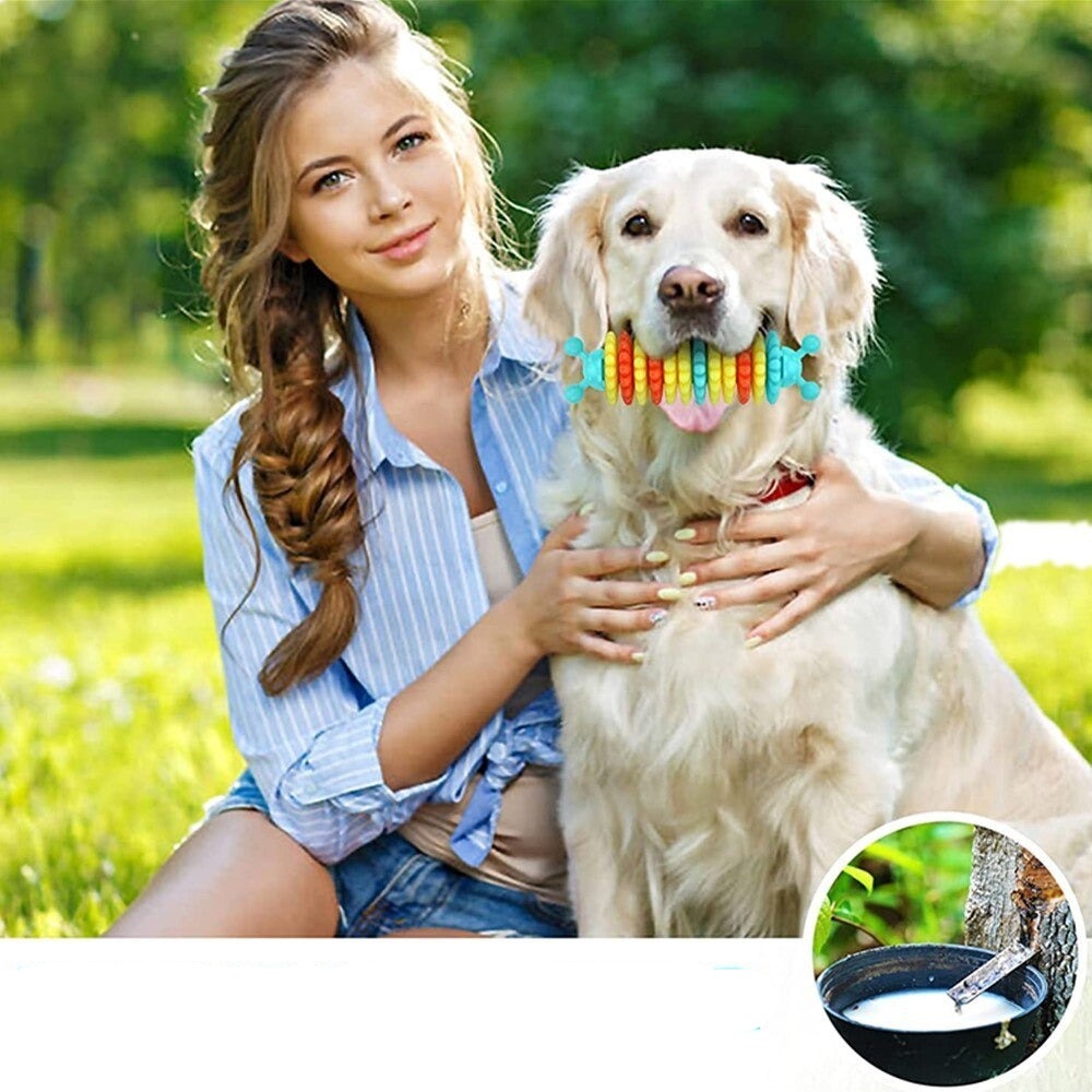 Caterpillar Dog Molar Toy