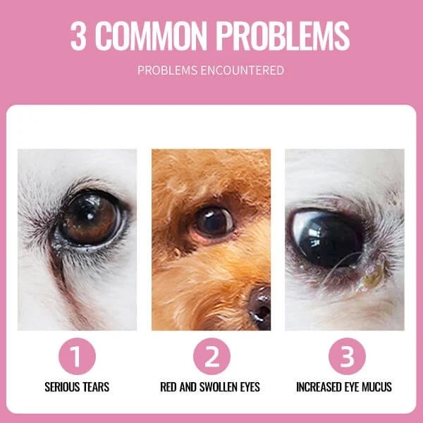 🔥Blowout  Hot Sale 🔥Pet Tear Stain Wipes & A good companion for pets(🔥BUY 3 FREE SHIPPING)