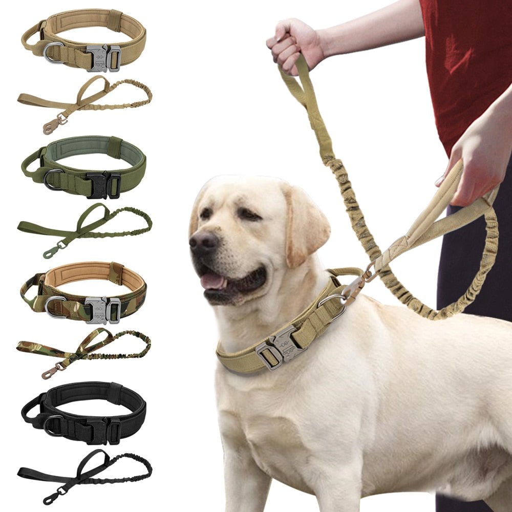 RoamReady Tactical Dog Collar