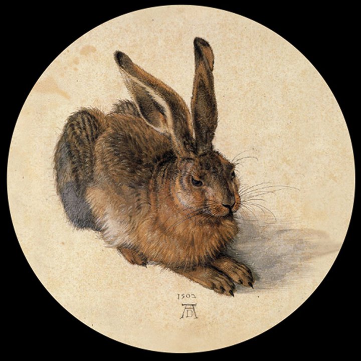 Durer Paper Weight
