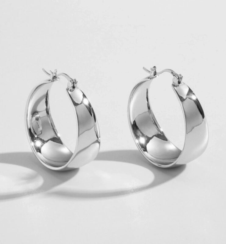 1 Pair Minimalist Geometric Stainless Steel Metal Hoop Earrings