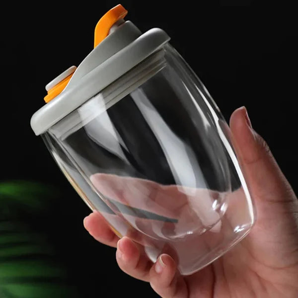 Double Layer Travel Glass Mug With Lid