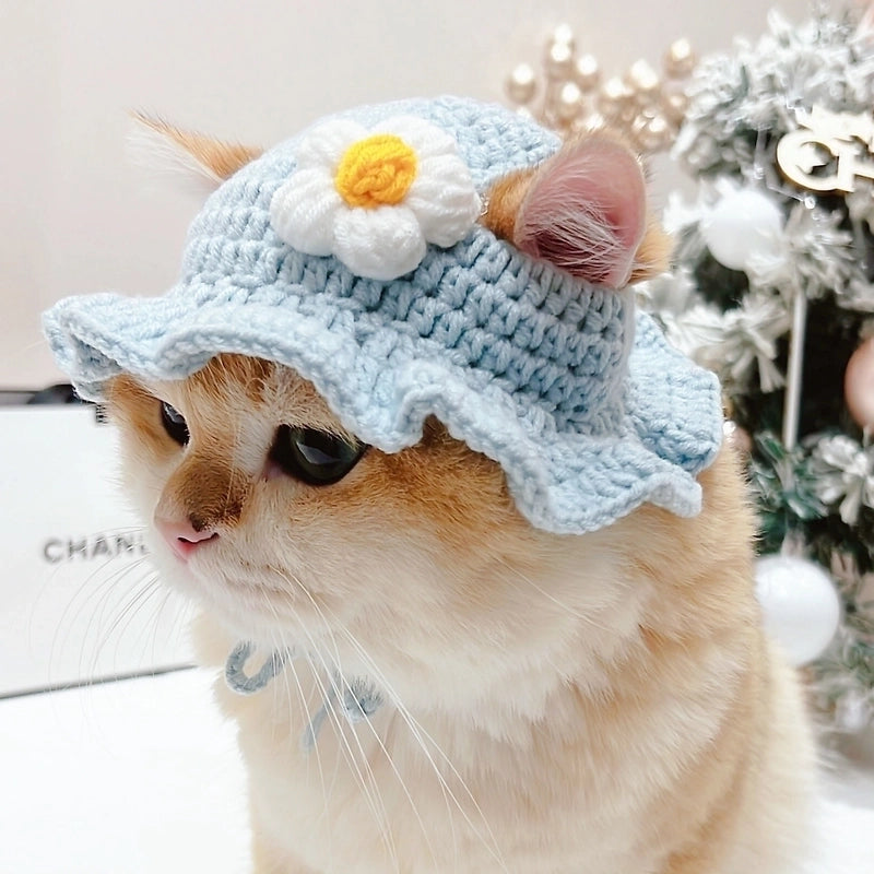 Cute Acrylic Cartoon Pet Hat