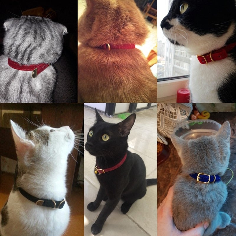 PU Leather Small Cat & Dog Collar