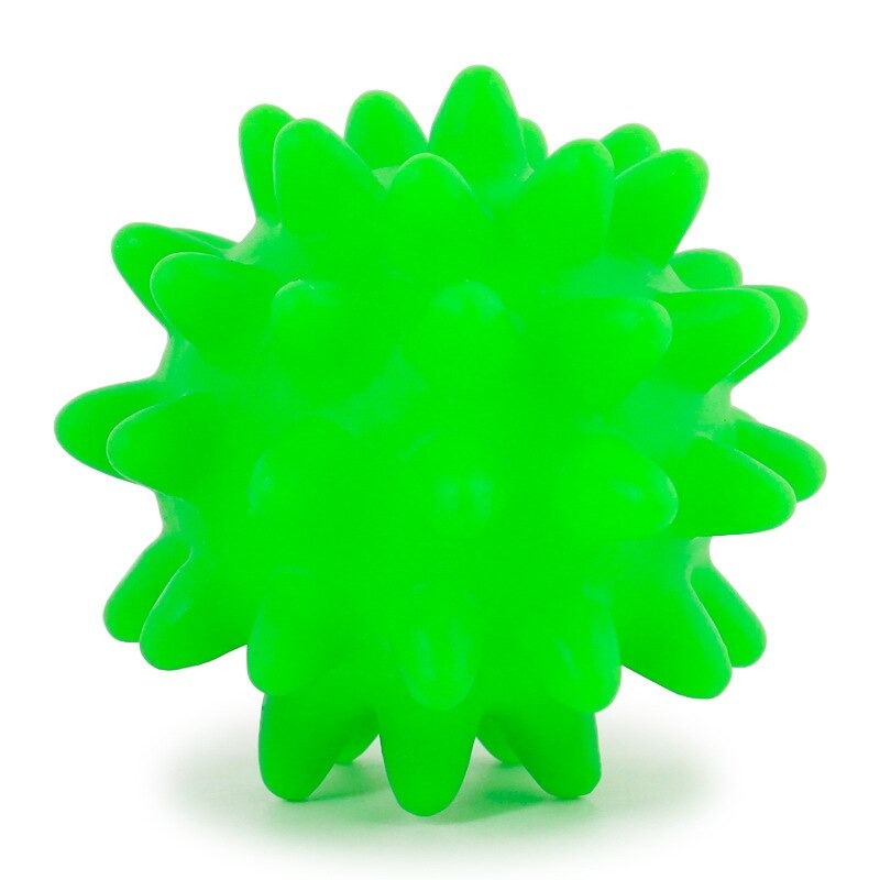 Dog Squeak Toys