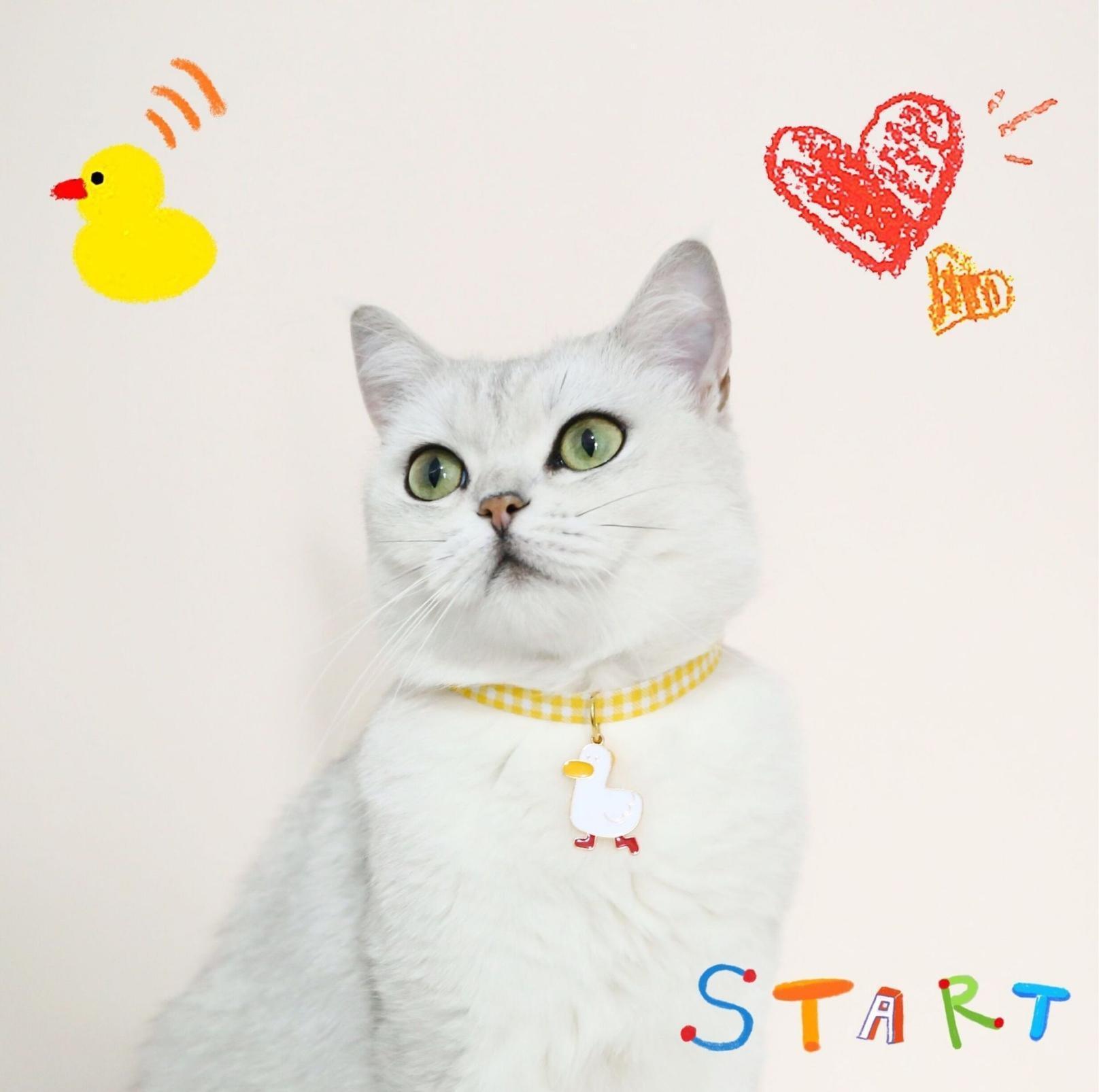 Pet Animal Shape Pendant Necklace With Candy Coloured